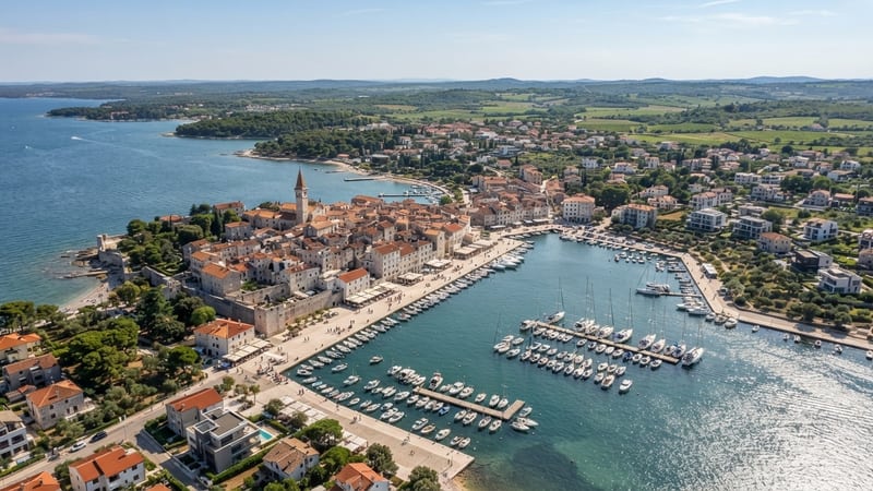 Kombi prevoz iz Beograda do Novigrada — Shark Travel