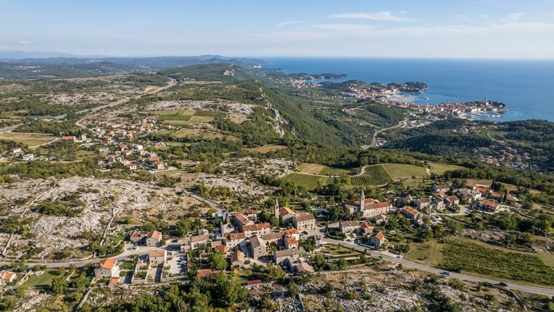 Kombi prevoz iz Novog Sada za Obalu i Kras — Shark Travel
